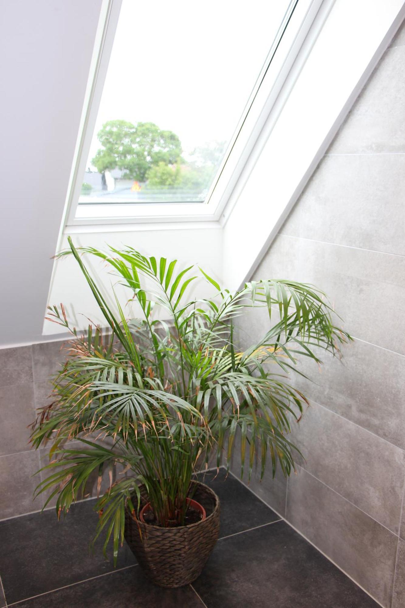 Bjerred B&B Bjärred エクステリア 写真