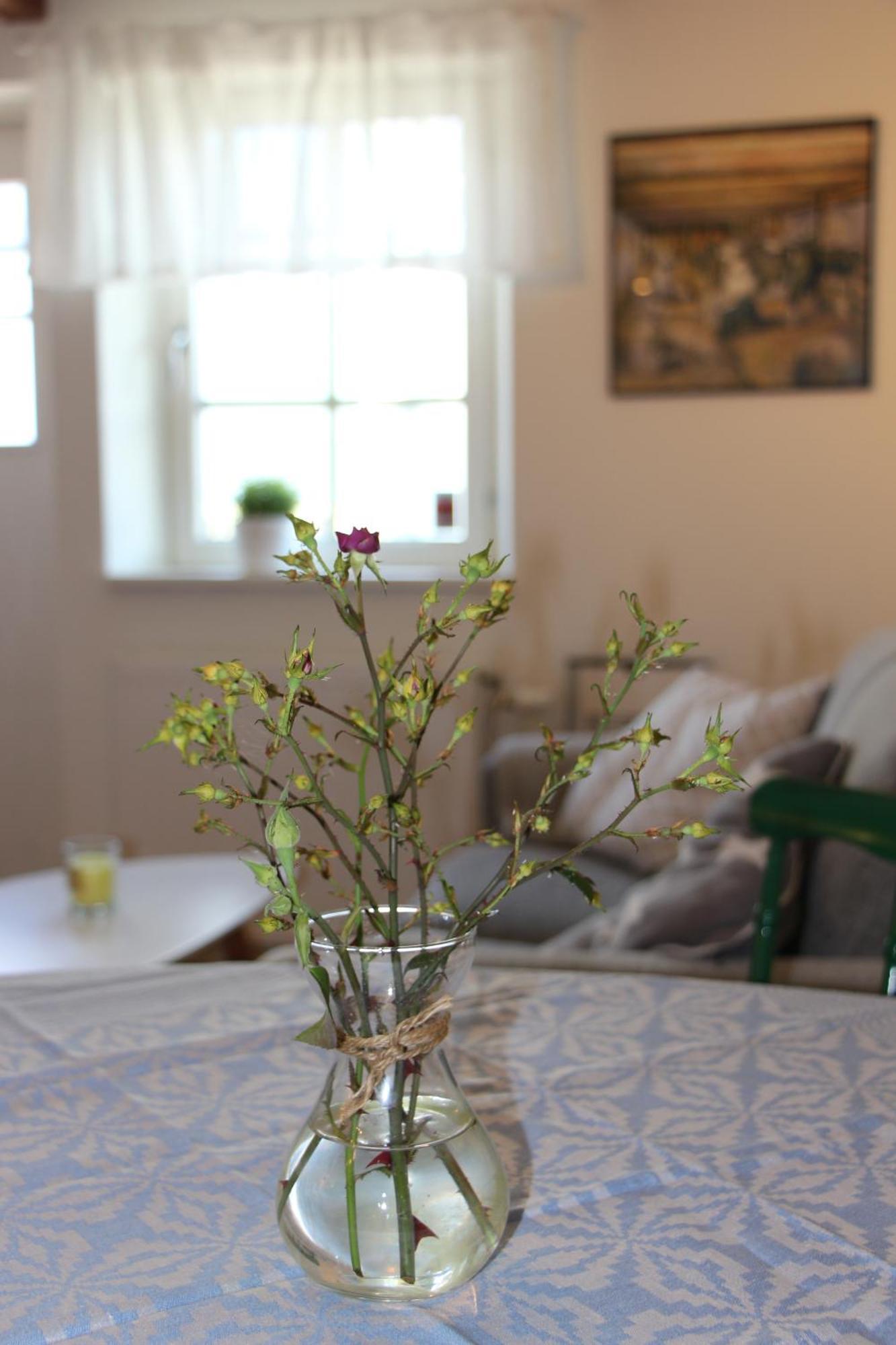 Bjerred B&B Bjärred エクステリア 写真