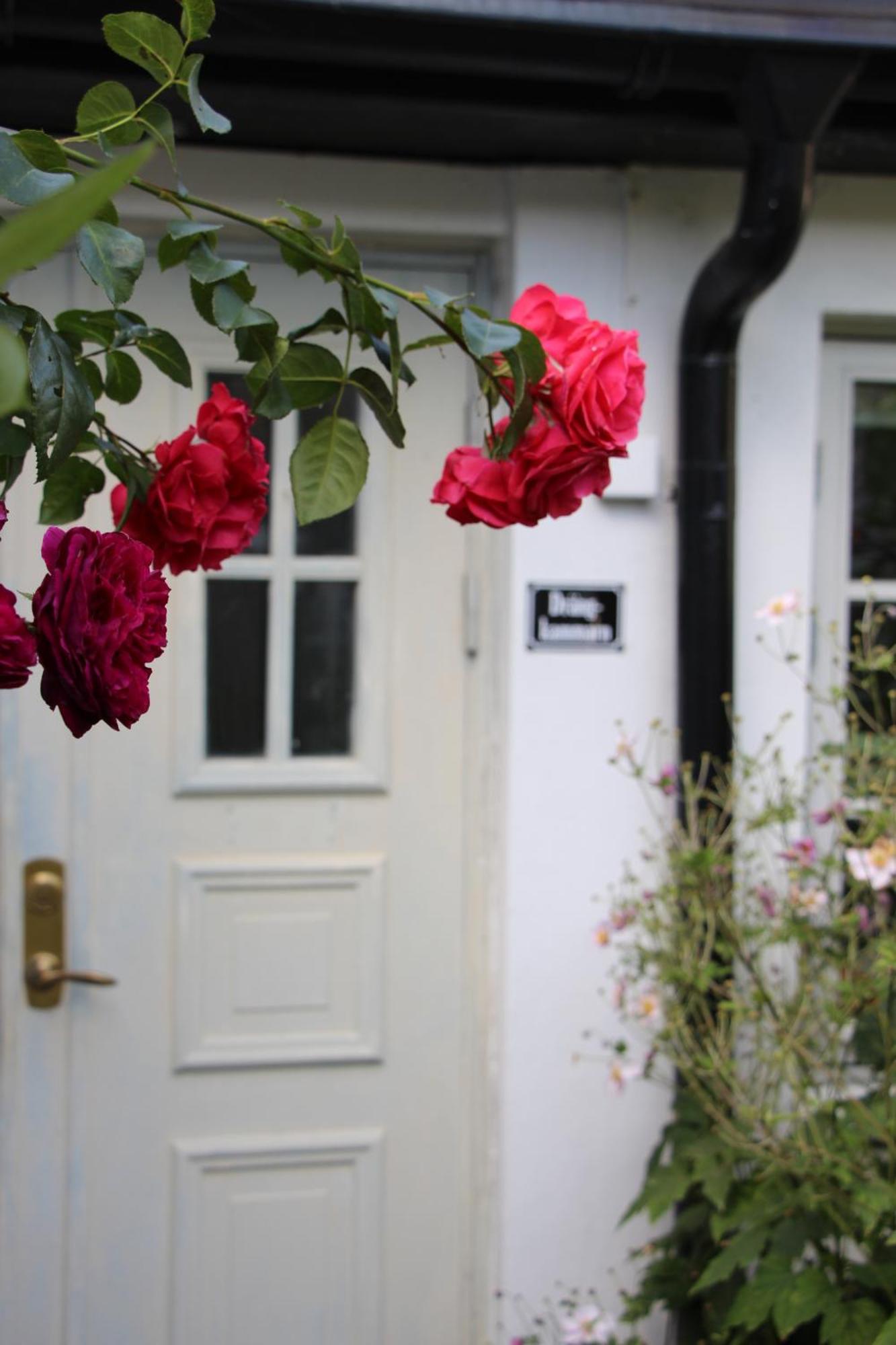 Bjerred B&B Bjärred エクステリア 写真